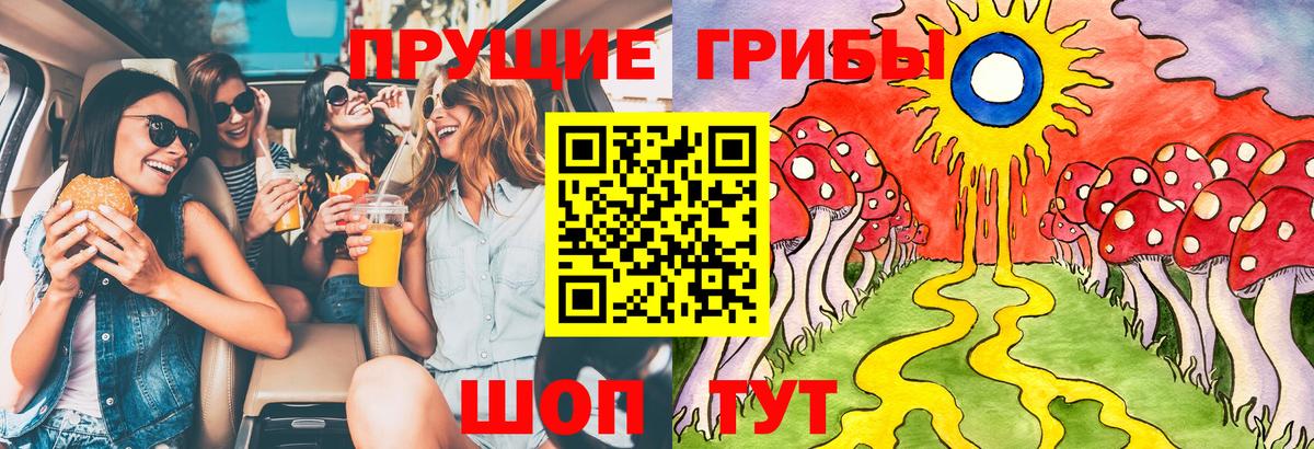 Псилоцибиновые грибы MAGIC MUSHROOMS  Вход с VPN  Нерюнгри 