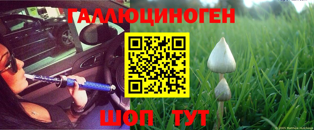 Псилоцибиновые грибы GOLDEN TEACHER Нерюнгри